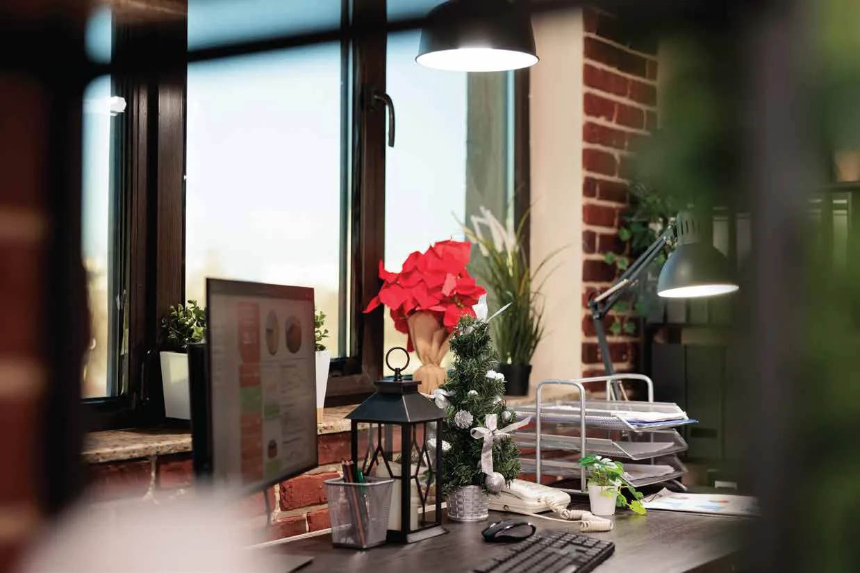 Live/work studio inside a Harbourline town